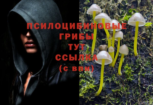 мдпв Протвино