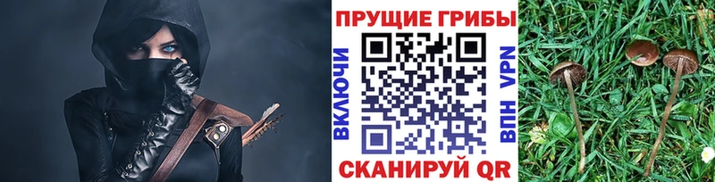 Галлюциногенные грибы Psilocybe  Белый 